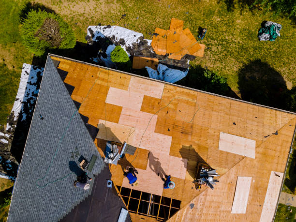 Best Metal Roofing Contractor  in Alliance, NE